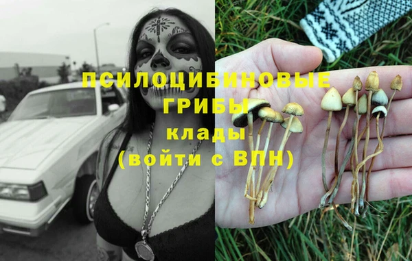 прущая мука Лиски