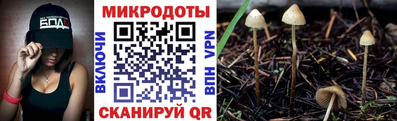 Галлюциногенные грибы GOLDEN TEACHER  Фокино 